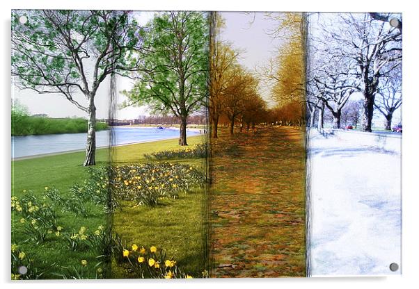  Four Seasons Acrylic by Levi Henley