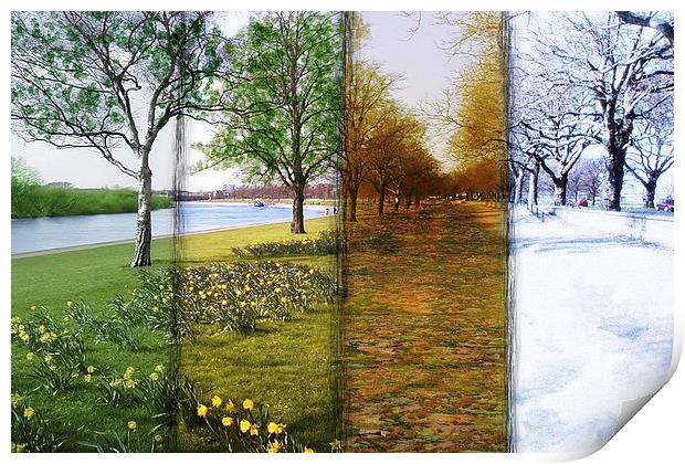  Four Seasons Print by Levi Henley