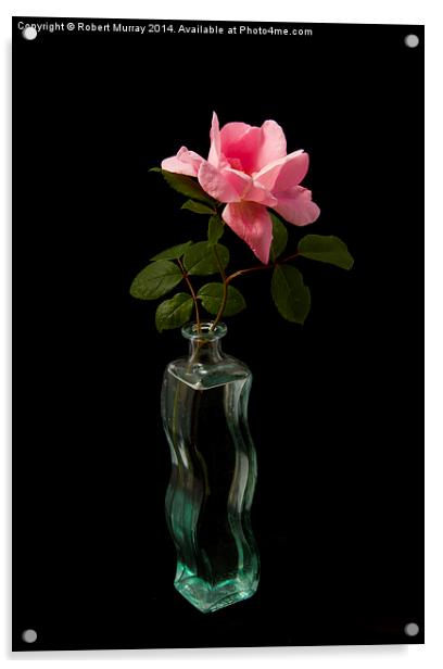  Rose in Bottle Acrylic by Robert Murray