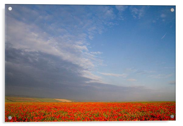 Poppy Field on the Dorset Ridgeway  Acrylic by Colin Tracy