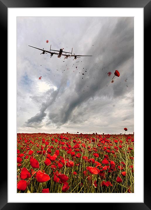 Poppies Dropped  Framed Mounted Print by J Biggadike