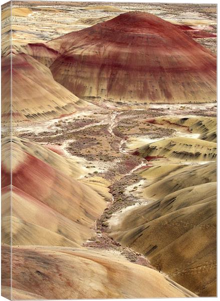 Painted Hills Canvas Print by Mike Dawson