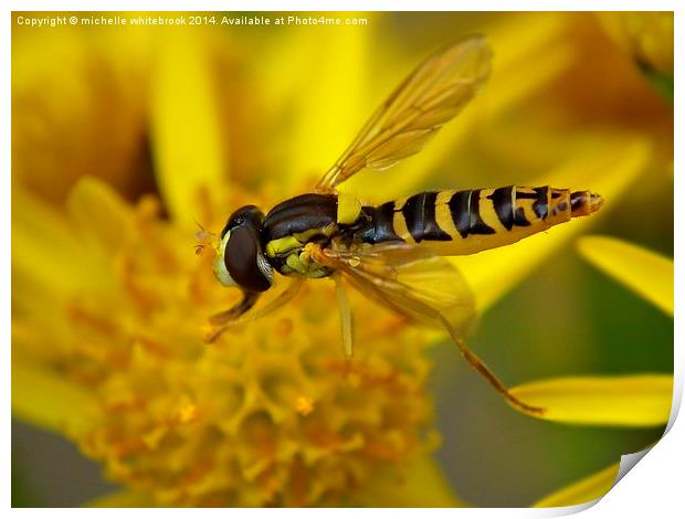  Mellow yellow Print by michelle whitebrook