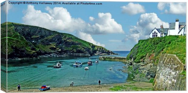  PORT ISAAC HARBOUR Canvas Print by Anthony Kellaway
