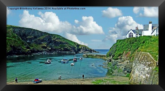  PORT ISAAC HARBOUR Framed Print by Anthony Kellaway