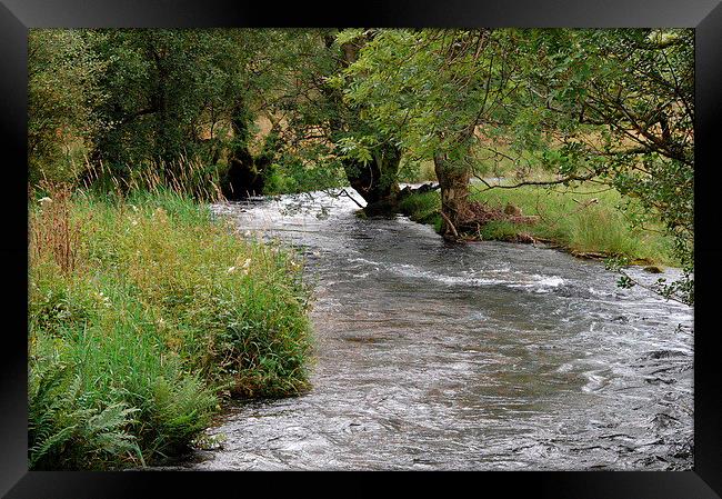 River through the trees Framed Print by Alan Waters