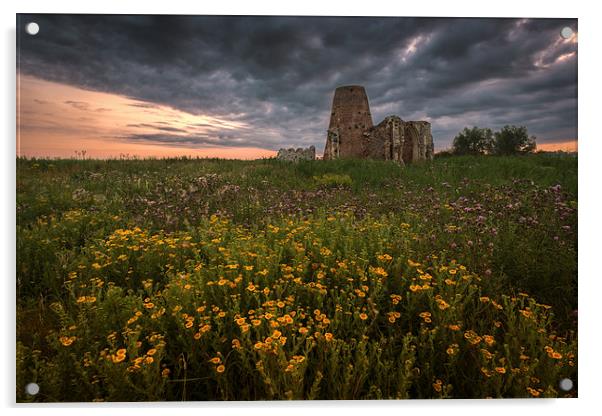 Wild Flowers at St Benets Abbey in Norfolk Acrylic by Stephen Mole
