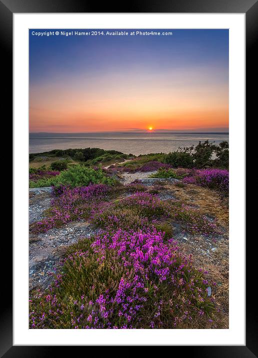 Purple Heather Sunset Framed Mounted Print by Wight Landscapes
