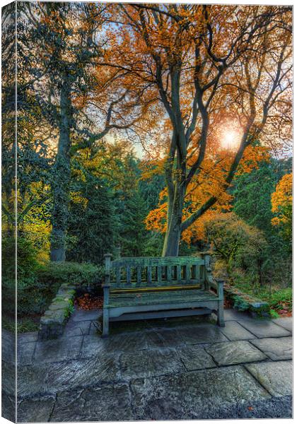Sunny Autumn Bench  Canvas Print by Ian Mitchell