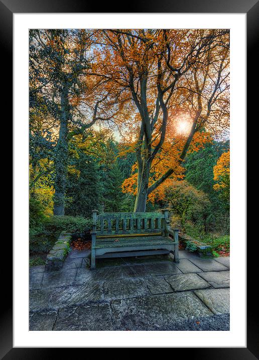 Sunny Autumn Bench  Framed Mounted Print by Ian Mitchell