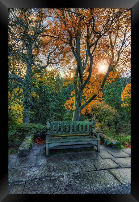 Sunny Autumn Bench  Framed Print by Ian Mitchell