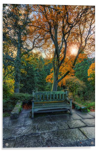 Sunny Autumn Bench  Acrylic by Ian Mitchell