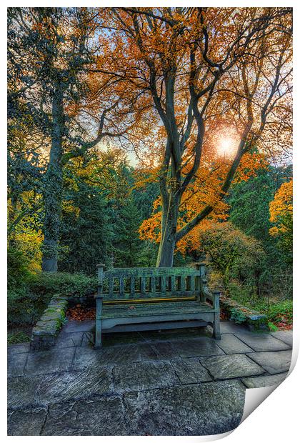 Sunny Autumn Bench  Print by Ian Mitchell
