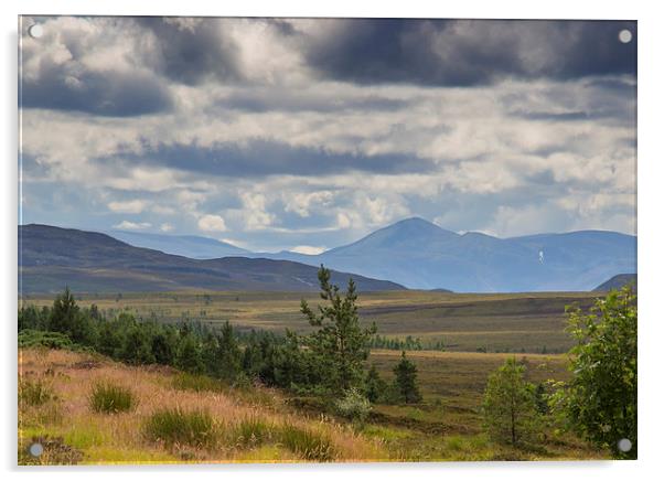  Highland landscape Acrylic by Derek Corner