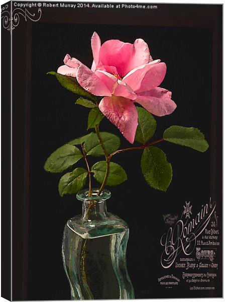  Rose in a Bottle 2 Canvas Print by Robert Murray