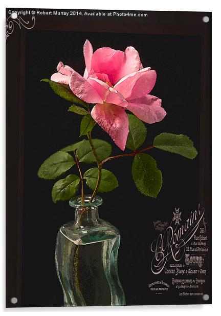  Rose in a Bottle 2 Acrylic by Robert Murray