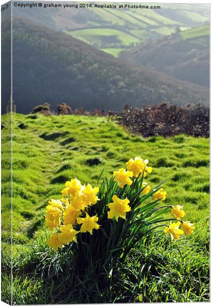 Springtime at County Gate  Canvas Print by graham young