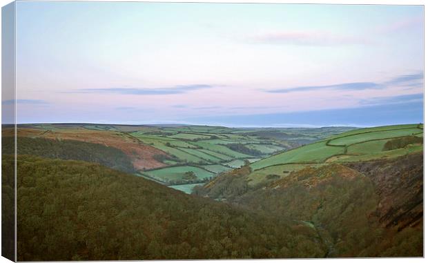 Exmoor Dawn  Canvas Print by graham young