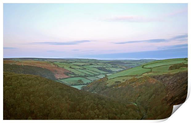 Exmoor Dawn  Print by graham young