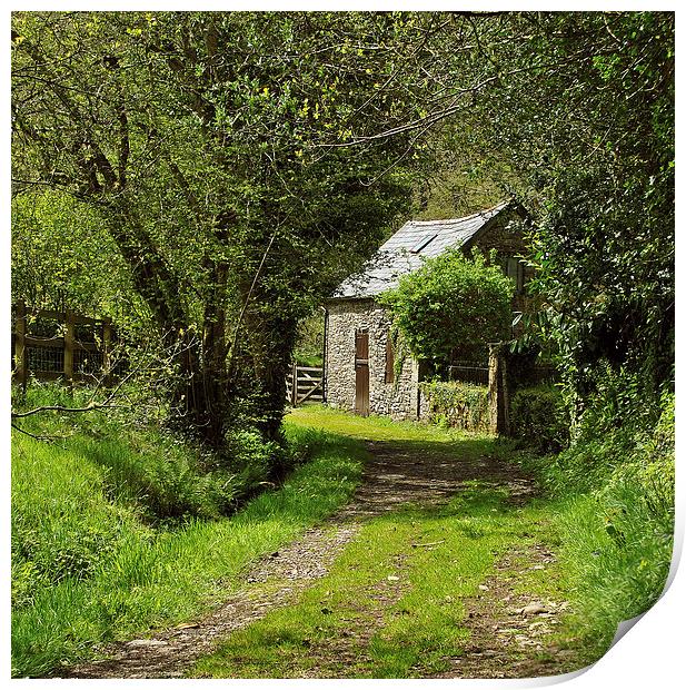 The Road To Countisbury Mill  Print by graham young