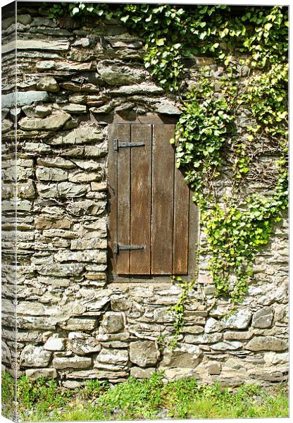 The Wooden Shutter  Canvas Print by graham young