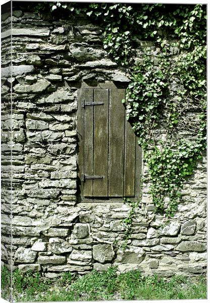 The Old Wooden Shutter (2)  Canvas Print by graham young
