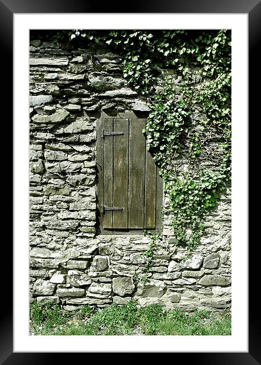 The Old Wooden Shutter (2)  Framed Mounted Print by graham young