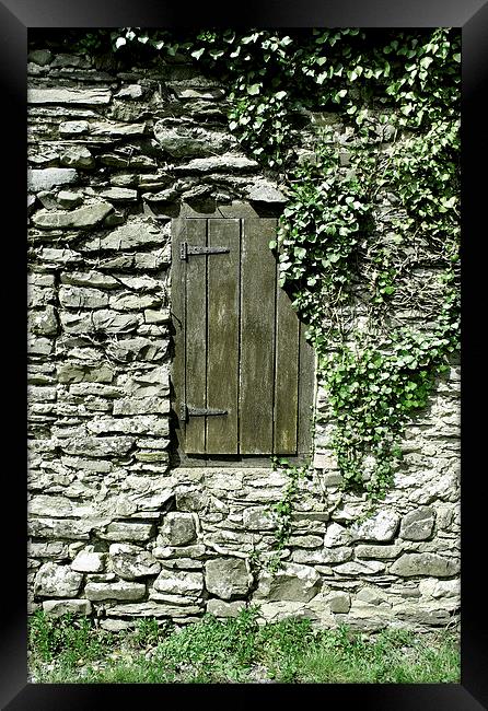 The Old Wooden Shutter (2)  Framed Print by graham young