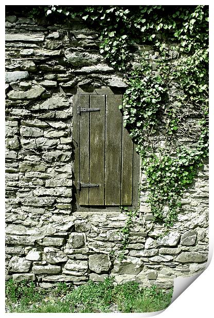 The Old Wooden Shutter (2)  Print by graham young