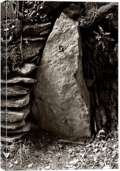 An Exmoor Gatepost  Canvas Print by graham young