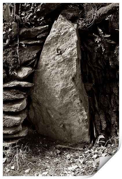 An Exmoor Gatepost  Print by graham young