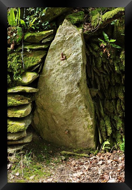 An Exmoor Gatepost (2)  Framed Print by graham young