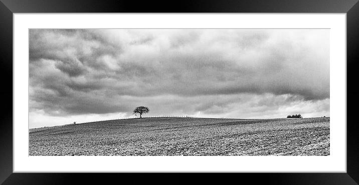  Lone Tree Framed Mounted Print by Ian Young