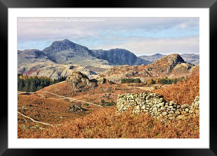  Autumnal Colours At Lingmoor Framed Mounted Print by Gary Kenyon