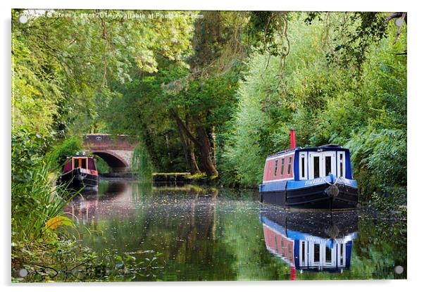  The Basingstoke Canal Acrylic by Steve Liptrot