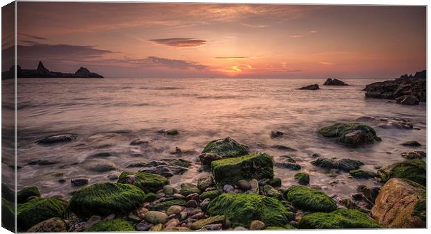  Another Day Dawns Canvas Print by Ray Abrahams