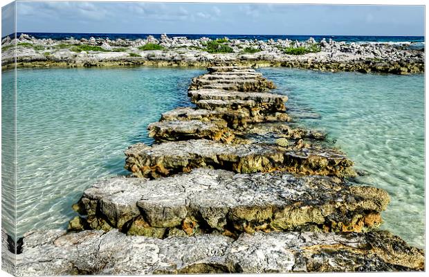 Steps to Sea Canvas Print by Valerie Paterson