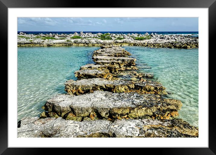 Steps to Sea Framed Mounted Print by Valerie Paterson