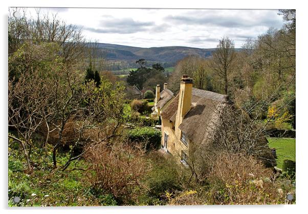 The View From Selworthy  Acrylic by graham young