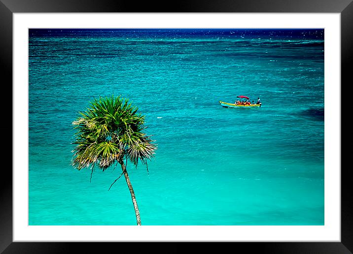 Palm Tree Crossing  Framed Mounted Print by Valerie Paterson