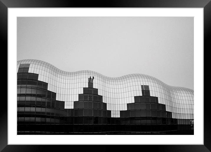 The Sage in Black and White Framed Mounted Print by Helen Holmes