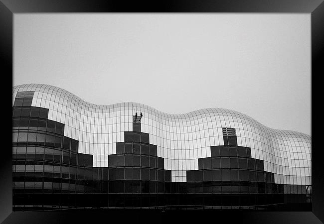 The Sage in Black and White Framed Print by Helen Holmes