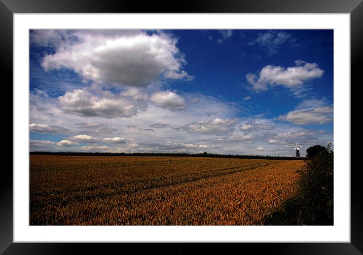 Field and Mill Framed Mounted Print by Ian Pettman