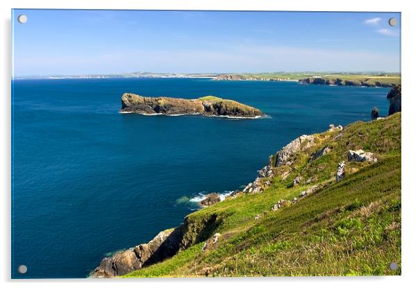  The Cornish coastline Acrylic by Steven Plowman