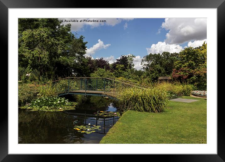  Burnby Hall Gardens Framed Mounted Print by keith sayer