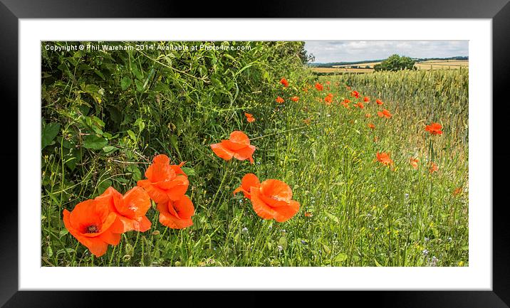  The edge of the field Framed Mounted Print by Phil Wareham