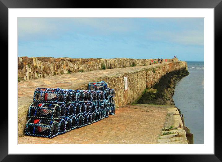  st andrews harbor Framed Mounted Print by dale rys (LP)