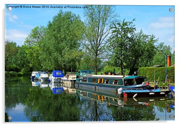  River Chelmer  Acrylic by Diana Mower