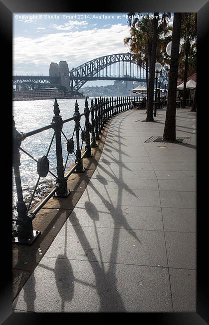  Railings leading to Sydney Harbour Bridge Framed Print by Sheila Smart
