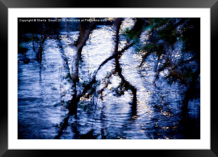  Mangrove reflection Framed Mounted Print by Sheila Smart